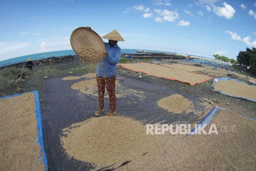 Penduduk memisahkan gabah hampa dan isi dengan menggunakan angin laut di pinggir Pantai Pamayangsari, Desa Sindangkerta, Kecamatan Cipatujah, Kabupaten Tasikmalaya. (Republika/Edi Yusuf)