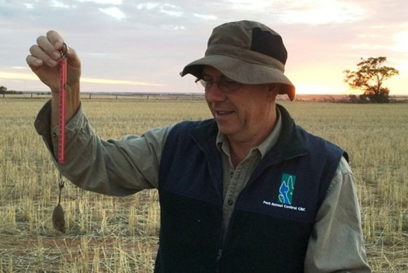 Peneliti CSIRO, Steve Henry, ingin agar para petani Tasmania ambil bagian dalam sensus tikus, pekan ini.