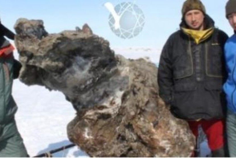 Peneliti dengan mammoth di Siberia
