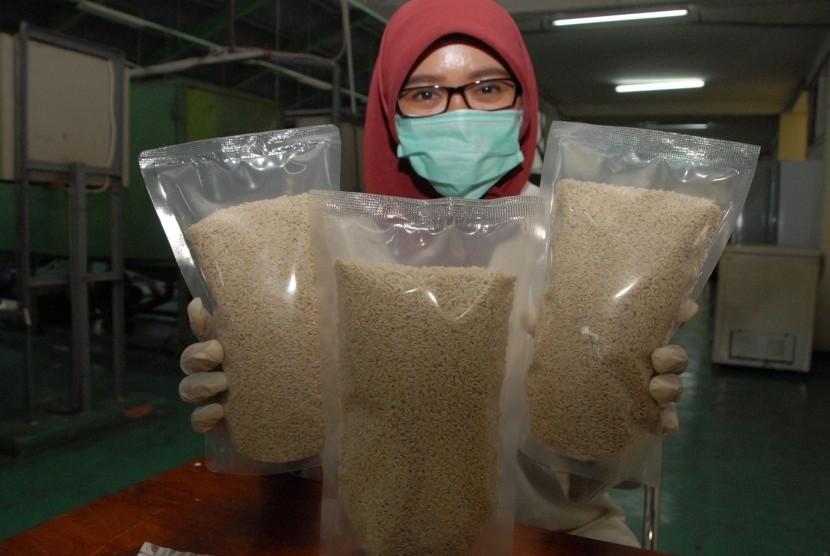Peneliti IPB menunjukan beras analog, salah satu beras tiruan yang diciptakan IPB di Laboratorium Pangan, Kampus IPB Dramaga, Bogor, Jabar, Rabu (27/5).
