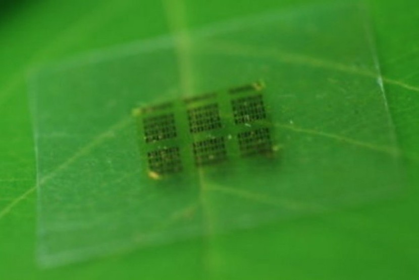 Peneliti membuat prototipe chip ramah lingkungan dari bahan dasar kayu.