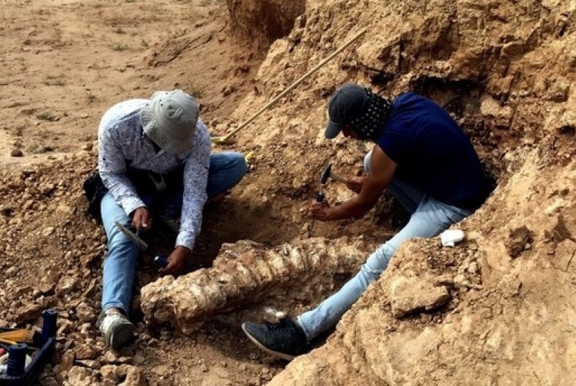 Peneliti menggali fosil hewan