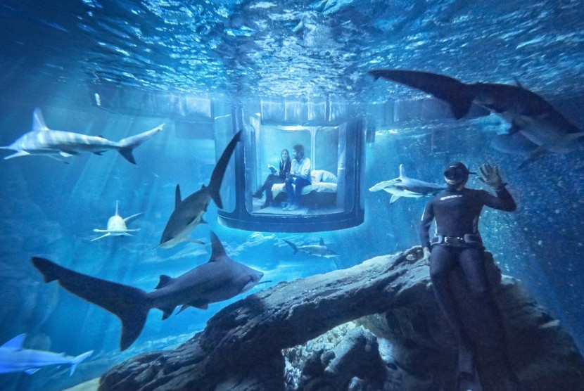 Pengalaman menginap ditemani hiu di akuarium Paris ditawarkan oleh Airbnb secara gratis.