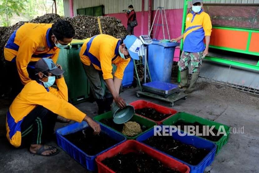 Ilustrasi pengelolan sampah. Foto: Pengelolaan sampah dengan menggunakan teknologi Black Soldier Fly (BSF) atau larva yang diterapkan Pemkot Surabaya.(dok. Pemkot Surabaya)