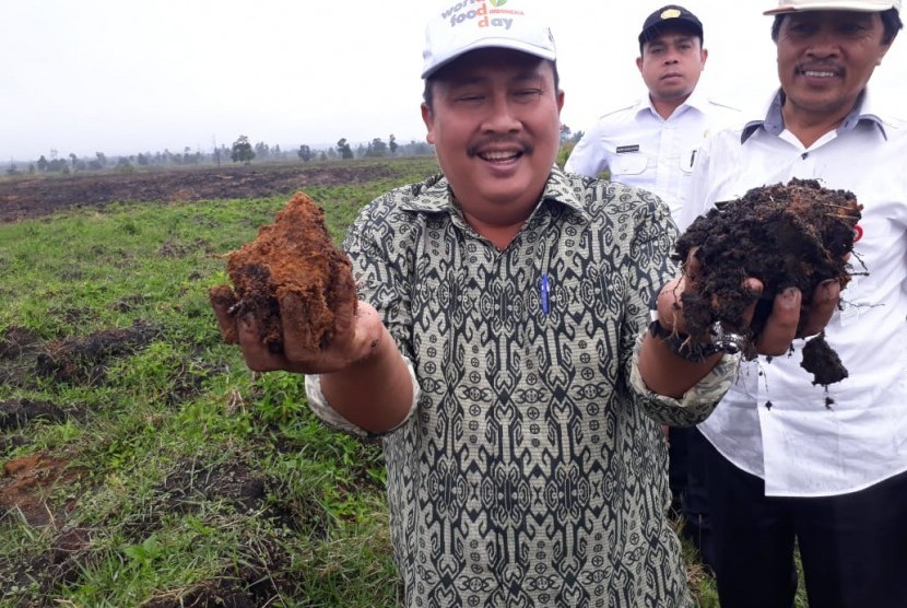 Pengembangan komoditas pertanian bawang putih di Kabupaten Humbang Hasundutan (Humbahas), Sumatra Utara