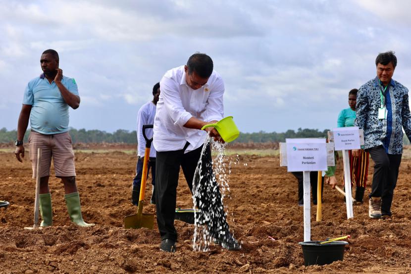 Pengembangan lahan pertanian modern di Distrik Kurik, Kabupaten Merauke pada Selasa (23/7/2024).