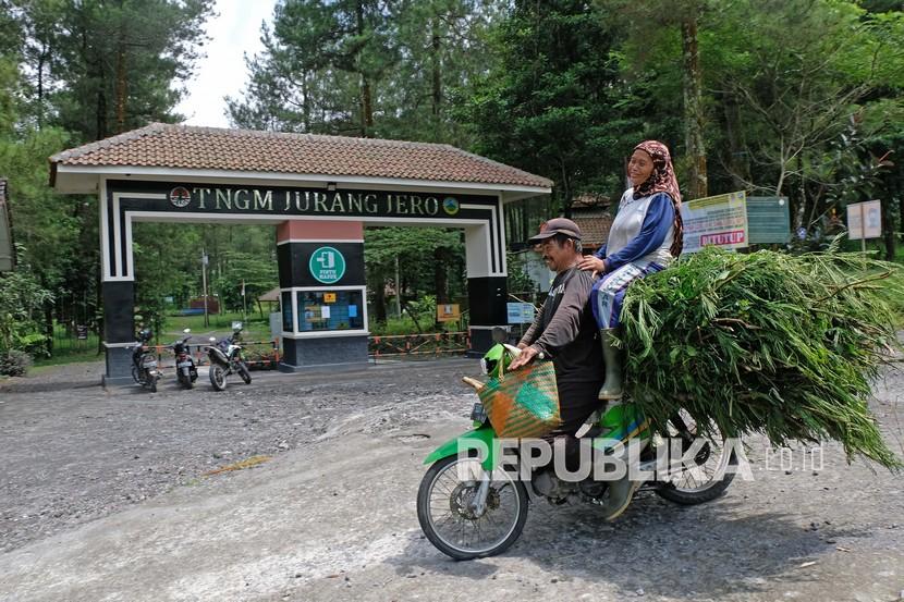 Bejen Fruit Garden Tawarkan Wisata Agro di Temanggung (ilustrasi).