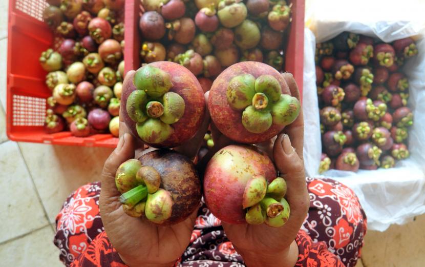 Pengepul menyortir buah manggis kualitas ekspor di gudang manggis Parik Malintang, Kabupaten Padangpariaman, Sumatra Barat (ilustrasi). Covid-19 kini kerap dijadikan alasan negara mitra dagang untuk menghambat masuknya produk asal Indonesia.