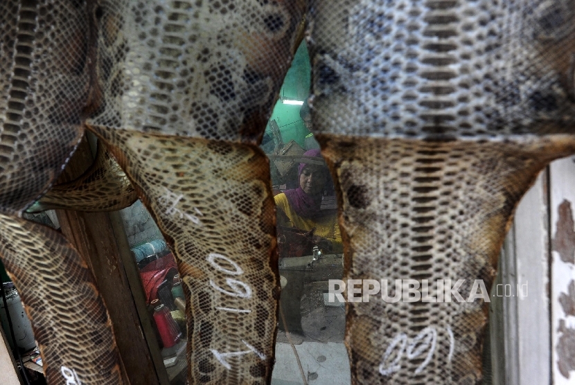  Pengerajin berbahan dasar kulit ular tengah memproduksi tas di bengkel kerja di Cibitung, Jawa Barat, Selasa (12/4).   (Republika/ Tahta Aidilla )