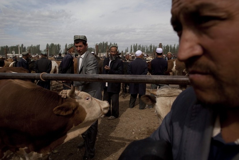 Penggembala etnis Uighur di Xinjiang. (Ilustrasi)