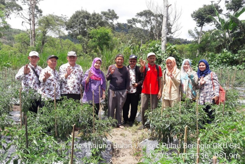 Penggunaan pengendalian orgnisme pengganggu tumbuhan di Kabupaten Ogan Komering Ulu, Sumatra Selatan.a