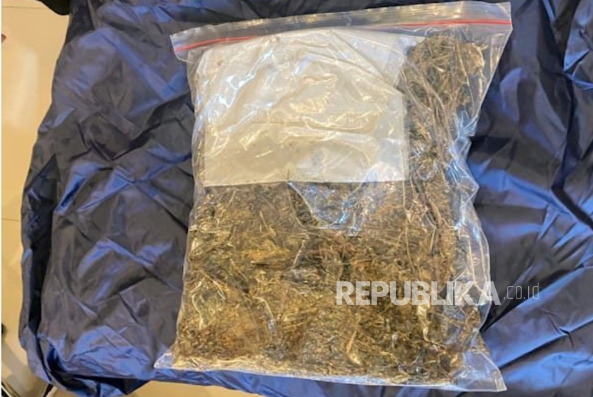 Bea Cukai dan BNNP Maluku Utara Gagalkan Pengiriman Narkotika di Ternate