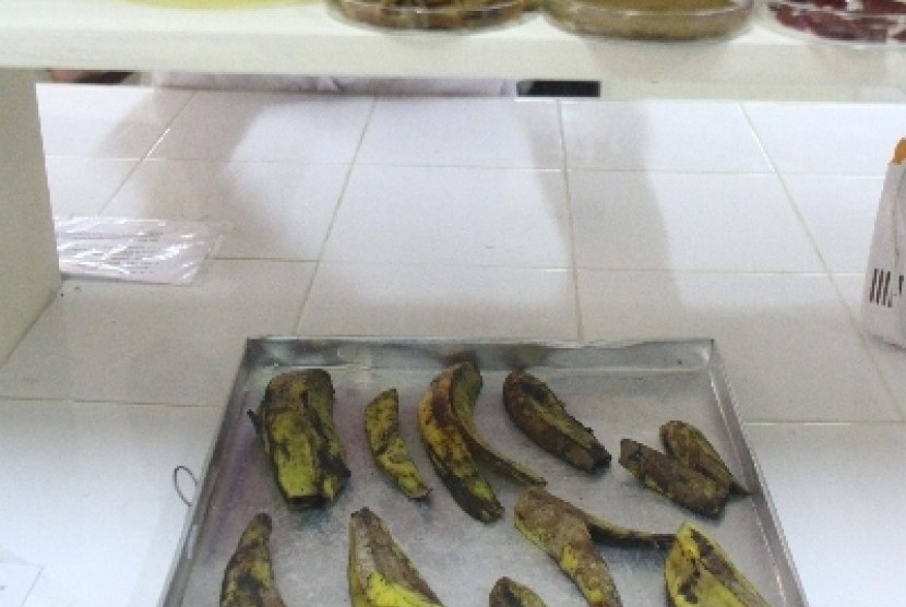 Pengolahan kulit pisang diubah menjadi donat (ilustrasi).