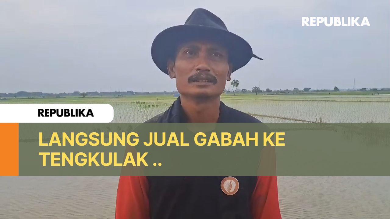 Pengoplosan Beras Premium, Petani di Indramayu: Kami Hanya Jual Gabah Saja tak Tahu Selanjutnya