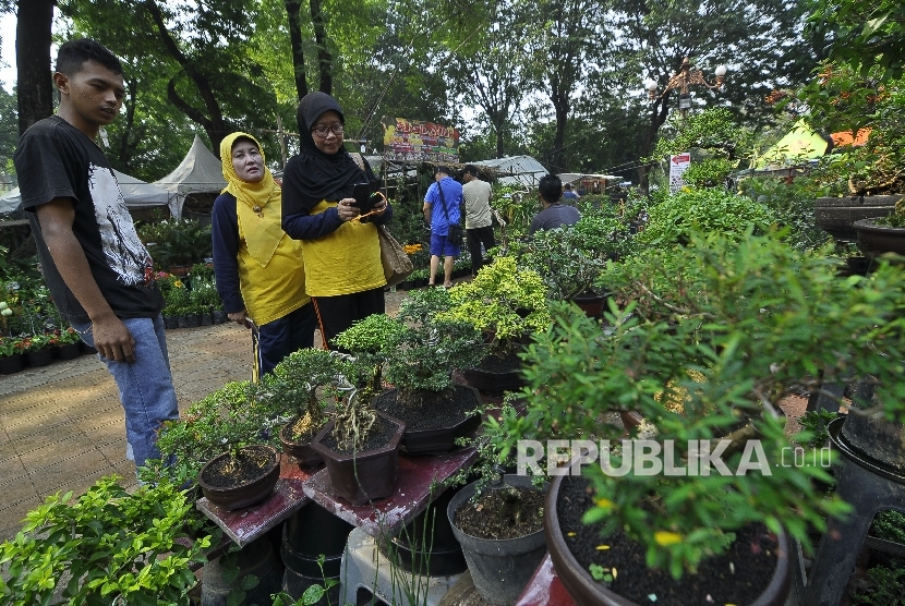 Pengujung melihat jenis tanaman bonsai di salah satu stan saat pembukaan Pameran Flora dan Fauna (Flona) 2017 di Lapangan Banteng, Jakarta, Jumat (21/7).