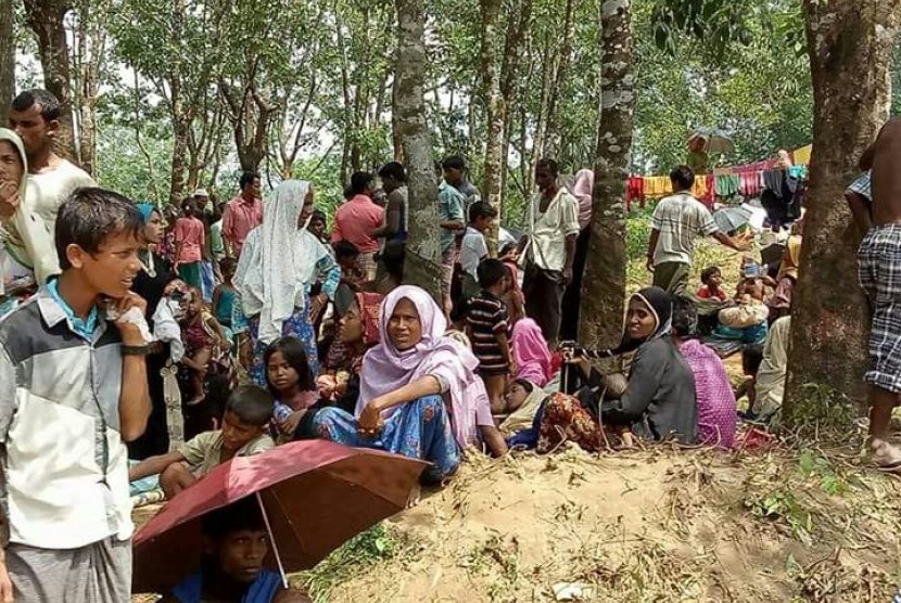 Pengungsi Muslim Rohingya.