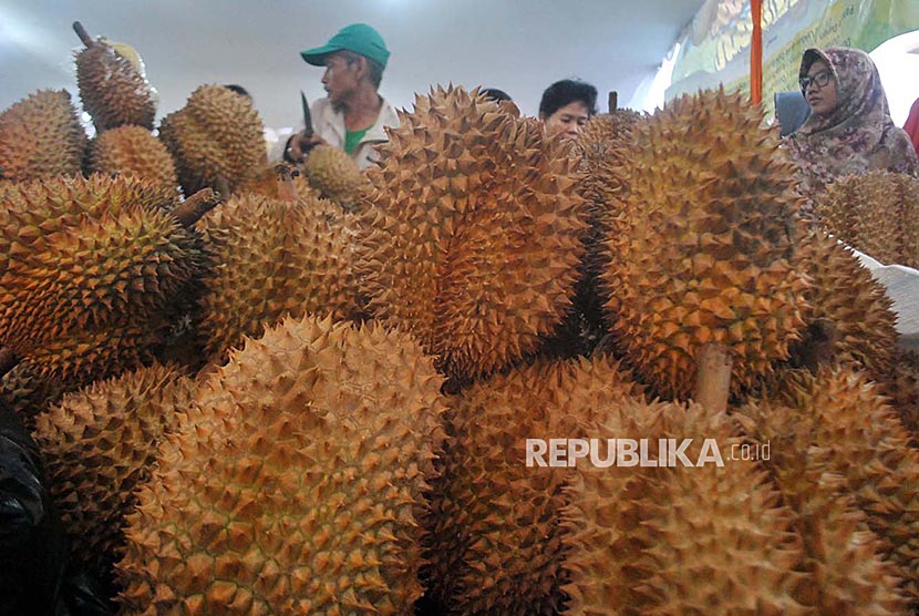 Pengunjuk menghadiri Festival Durian Bogor 2017 di Bogor, Jawa Barat, Jumat (1/12). Festival durian yang menyajikan belasan durian lokal seperti Monthong (Bali), Jambi, Bengkulu, Rancamaya (Bogor), Medan hingga Banyumas dan dijual dengan harga mulai Rp75 ribu hingga Rp120 ribu per kilogram tersebut bertujuan mengenalkan sekaligus mengembangkan durian lokal kepada masyarakat.
