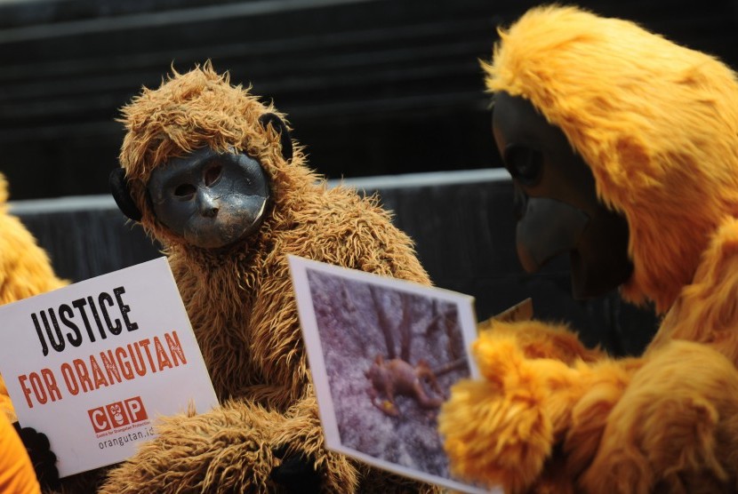 Pengunjuk rasa dari Centre for Orangutan (COP) melakukan aksi di depan Mabes Polri, Jakarta, Jumat (4/3).