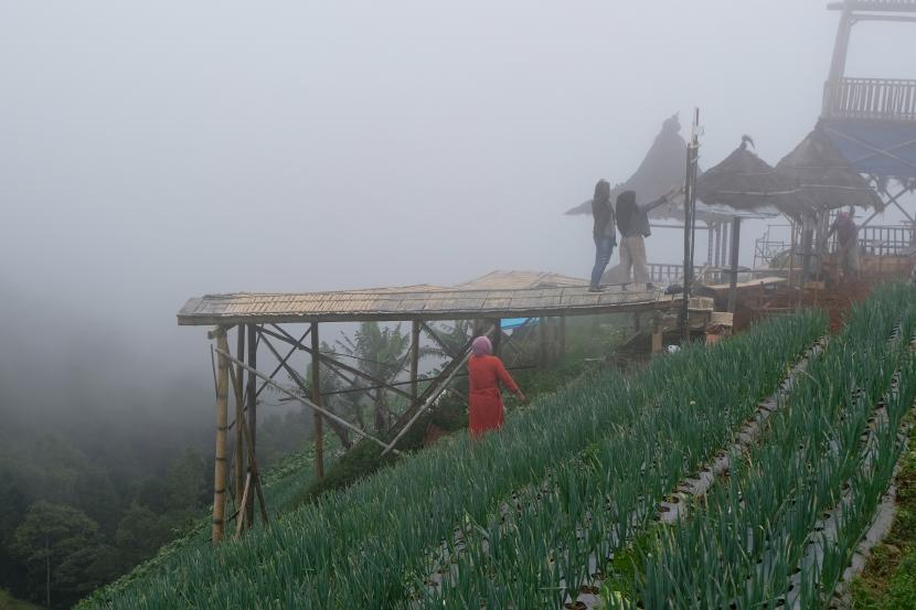 Pengunjung berada di kawasan pertanian sayuran di kawasan lereng gunung Sumbing, Dusun Nampan, Sukomakmur, Kajoran, Magelang, Jateng, (ilustrasi).