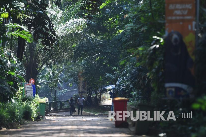 Pengunjung berjalan di kawasan Taman Margasatwa Ragunan (TMR), Jakarta, Sabtu (20/6/2020). 