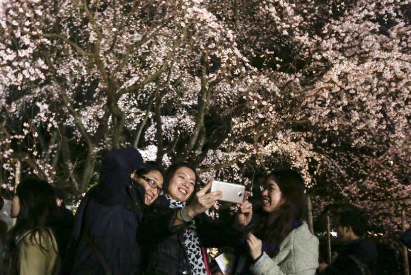 Pengunjung berswafoto dengan latar bunga sakura yang mekar di Rikugien Garden Tokyo.