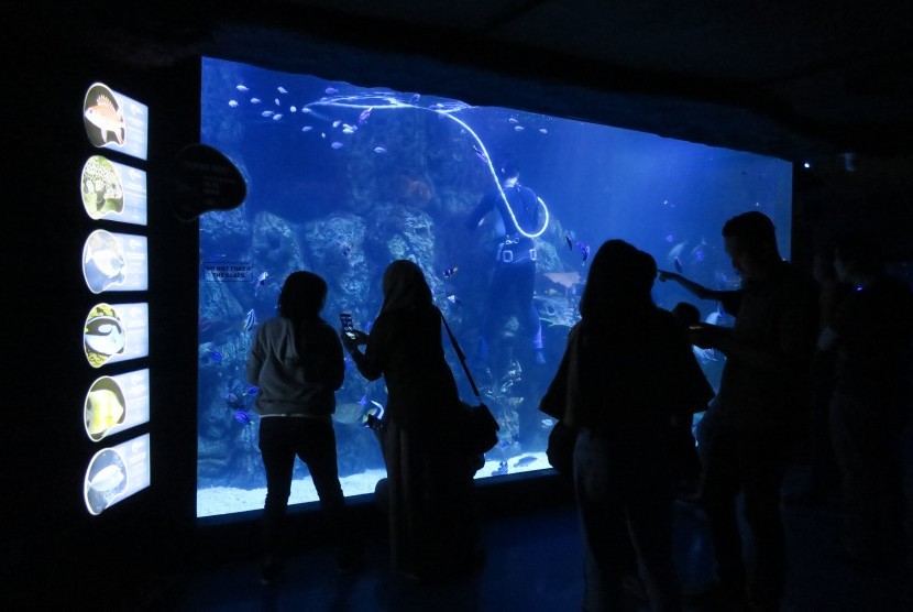 Pengunjung melihat koleksi hewan laut di Jakarta Aquarium.