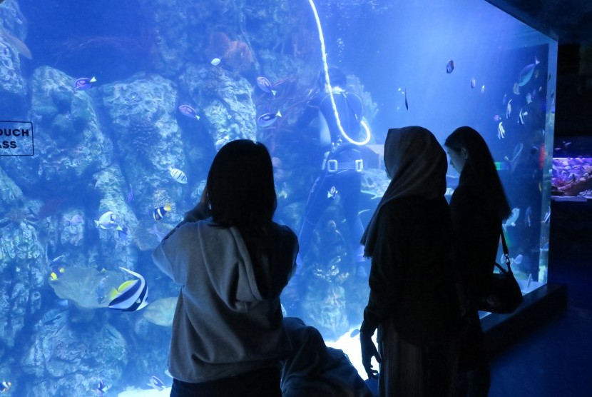 Pengunjung melihat koleksi hewan laut di Jakarta Aquarium. 