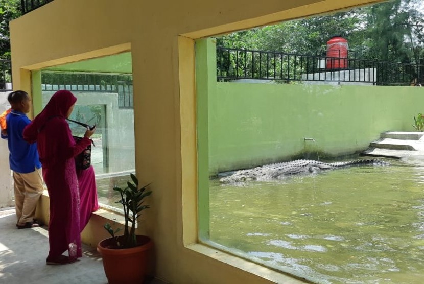 Pengunjung Jurug Solo Zoo Membeludak Saat Tahun Baru. Pengunjung melihat satwa buaya di Taman Satwa Taru Jurug (TSTJ), Solo.