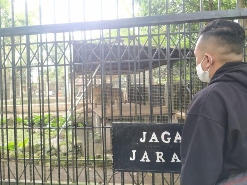 Pengunjung melihat satwa di Taman Satwa Cikembulan, Kecamatan Kadungora, Kabupaten Garut, Jawa Barat, Jumat (11/2/2022).