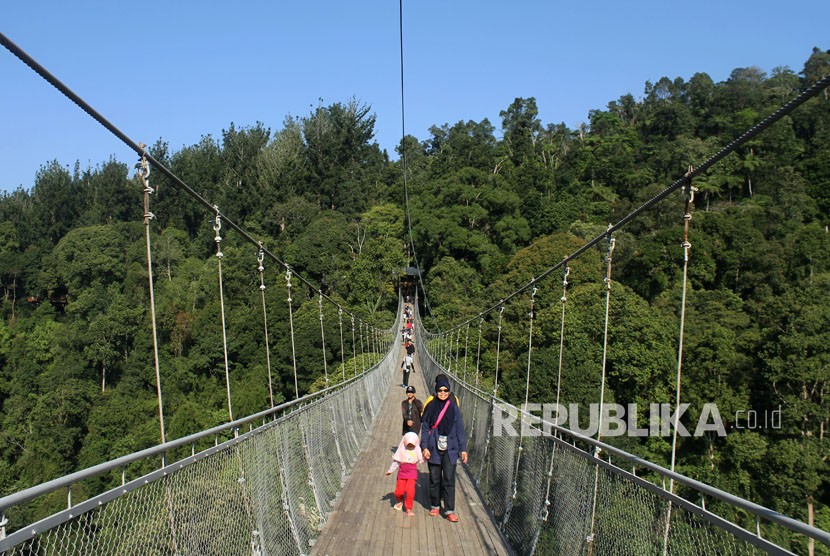 Pengunjung melintasi jembatan gantung panjang di kawasan Taman Nasional Gunung Gede dan Pangrango, di Sukabumi, Jawa Barat, Senin (18/6).Pendakian ke Gunung Gede Pangrango di Cianjur, Jawa Barat, ditutup sementara hingga 20 Juli atau selama PPKM Darurat, sebagai upaya menekan penularan COVID-19 karena trennya meningkat sejak tiga bulan terakhir.