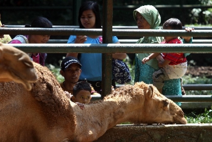 Pengunjung memadati Kebun Binatang Bandung, Jalan Taman Sari Bandung, Jawa Barat,