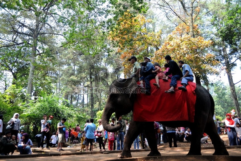 Pengunjung memadati Kebun Binatang Bandung, Jalan Taman Sari Bandung, Jawa Barat.