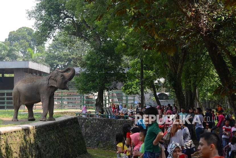  Pengunjung memadati Kebun Binatang Ragunan, Jakarta