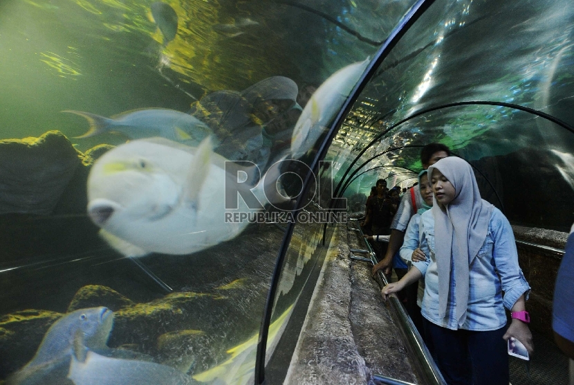   Pengunjung memadati wahana Seaworld, Ancol, Jakarta Utara, Senin (18/7).      (Republika/Rakhmawaty La'lang)