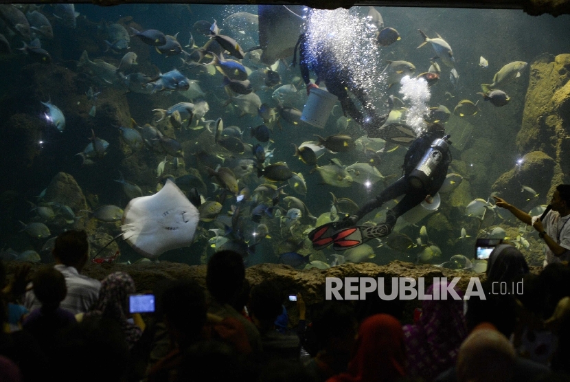 Pengunjung memadati wahana Seaworld, Ancol, Jakarta Utara.