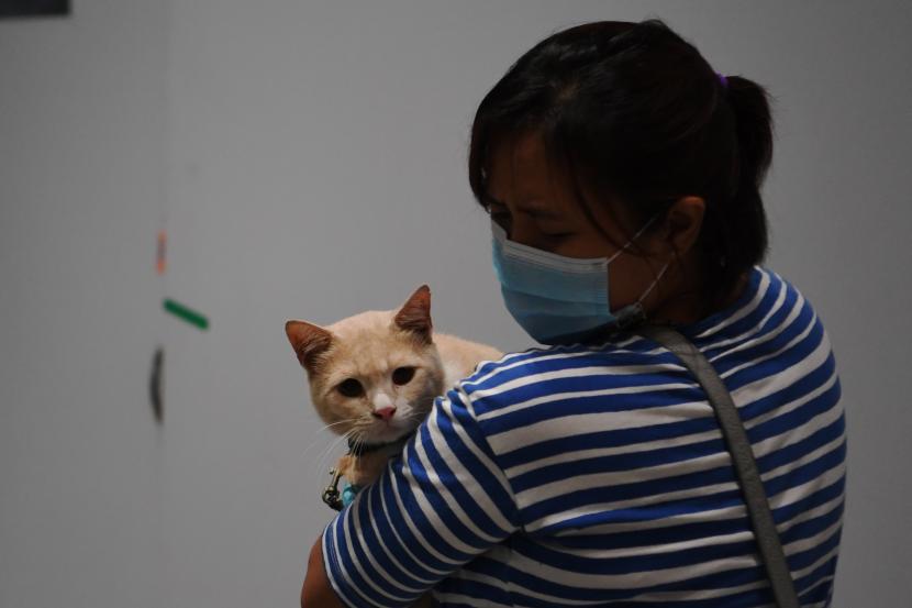 Pengunjung membawa kucing peliharaannya saat menghadiri acara CatFest di Senayan Park, Jakarta, Sabtu (13/11/2021). Islam Melarang Umatnya Melukai dan Menyakiti Hewan