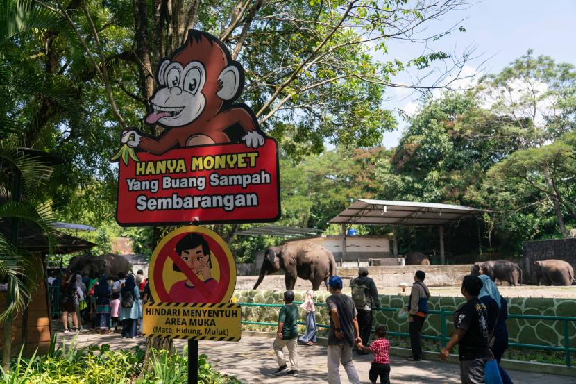 Pengunjung memberi makanan pada gajah di Gembira Loka Zoo, Yogyakarta, Selasa (3/5/2022). Destinasi wisata yang ada di DIY sudah mulai kebanjiran pengunjung di libur Lebaran Idul Fitri 2022 ini. Kedatangan pengunjung mulai banyak pada H+2 Lebaran.