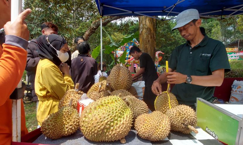  Pengunjung memburu buah durian saat digelar Pesta Durian Mania 2023, yang digelar dalam rangka HUT kabupaten Semarang ke-502, di Kebun Java Tuntang, Kabupaten Semarang, Ahad (12/3).