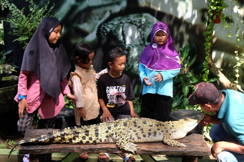 Pengunjung memegang buaya di salah satu wahana Taman Satwa Taru Jurug (TSTJ) Solo, Jawa Tengah, Senin (27/6/2022). Deteksi dini di tengah peningkatan kasus Covid-19 cukup penting, terutama setelah pergi berlibur.