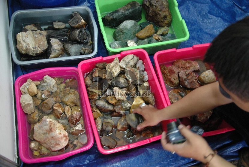  Pengunjung memilih bahan batu akik pada pameran batu mulia atau batu akik Gem Stone Festival yang digelar Radio Republik Indonesia (RRI) Bandung, Selasa (24/2). (Republika/Edi Yusuf)
