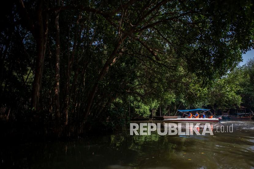 Pengunjung menaiki perahu saat menyusuri Hutan Mangrove, (ilustrasi). Langkah penyerapan karbon lewat konservasi hutan mangrove telah dilakukan Pupuk Kaltim sejak tahun 2009. 