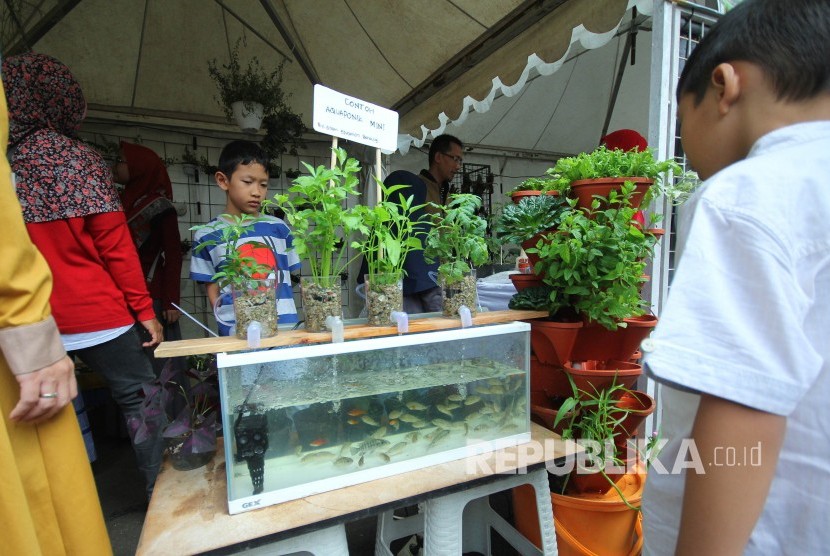 Cara Ternak Belut Di Ember / Cara Budidaya Belut Sawah Di ...