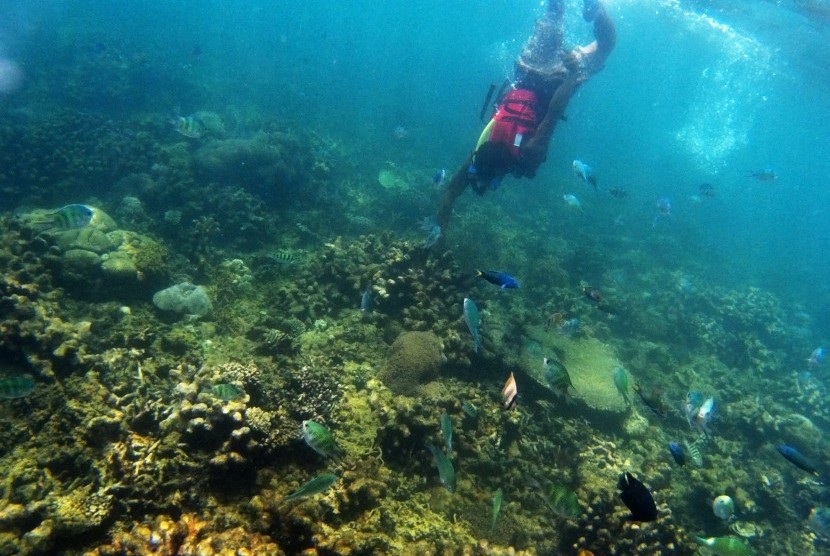 Pengunjung menikmati suasana bawah laut Pantai Beach Club di Tanjung Lesung ,Pandeglang, Banten, Selasa (26/9). 