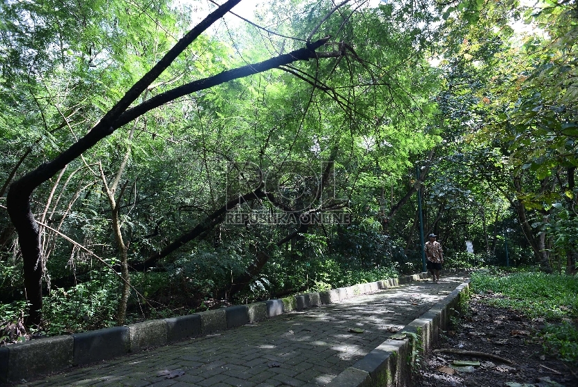  Pengunjung menikmati suasana Hutan Kota Srengseng, di Pengumben, Jakarta Barat, Kamis (12/3).  (Republika/Raisan Al Farisi)