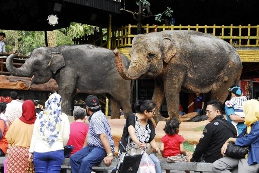 Pengunjung menyaksikan atraksi gajah di arena rekreasi Taman Safari Indonesia (TSI) Cisarua, Bogor, Jabar