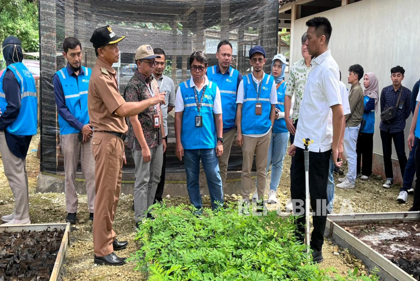 Peninjauan lokasi rumah bibit tanaman multifungsi dalam program CSR PLN EPI yang turut didukung oleh Keraton Yogyakarta melalui  Kepala Bebadan Pangrekso Loka Keraton Ngayogyakarto Hadiningrat Raden Mas  (RM) Gustilantika Marrel Suryokusumo, Selasa (27/5/2025). 