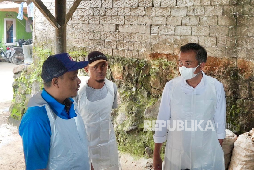 Penjabat Gubernur Jawa Barat, Bey Machmudin, saat meninjau pelaksanaan vaksinasi hewan ternak seperti sapi, kambing, dan kerbau, di Desa Cisaat, Kabupaten Subang, Selasa (14/1/2025).