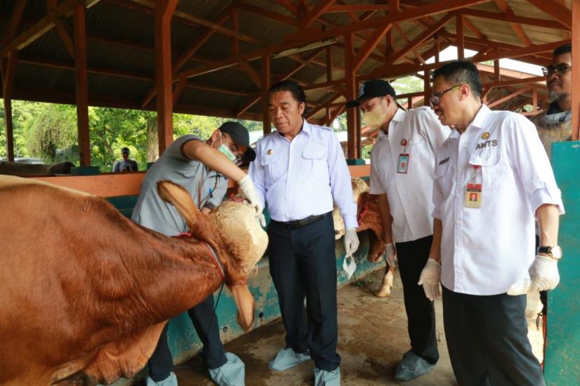 Penjabat (Pj) Gubernur Banten Al Muktabar meninjau secara langsung lapak penjualan hewan kurban milik warga di Kawasan Puspiptek, Kota Tangerang Selatan, Rabu (22/6/2022). 