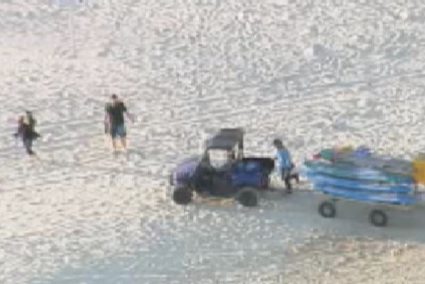 Penjaga pantai di Pantai Bondi, setelah ada penampakan hiu. 