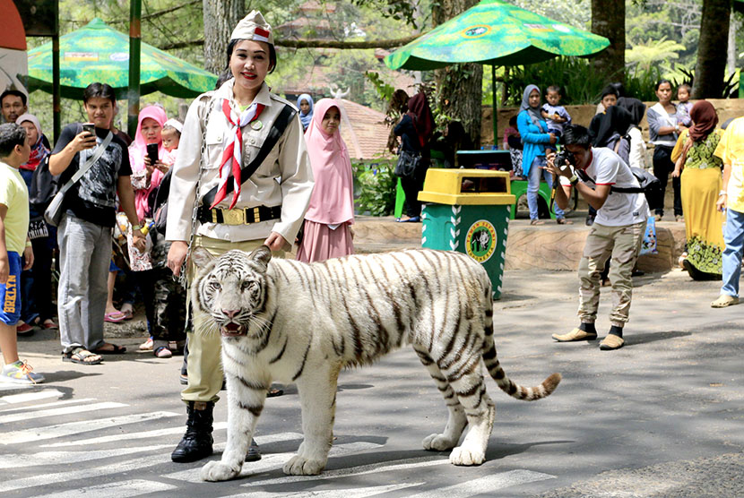 Penjaga satwa mengenakan seragam pejuang.